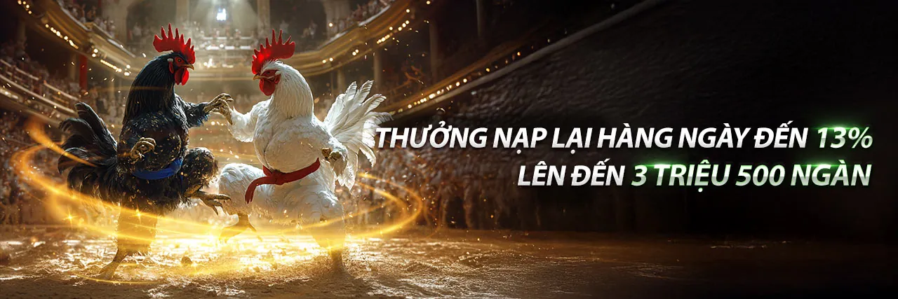 Sòng Bài Trực Tuyến bong69 2026 với Đa Dạng Game Bài